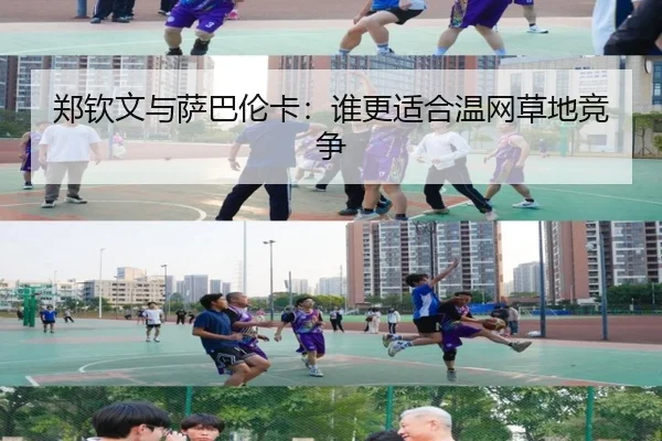 郑钦文与萨巴伦卡：谁更适合温网草地竞争